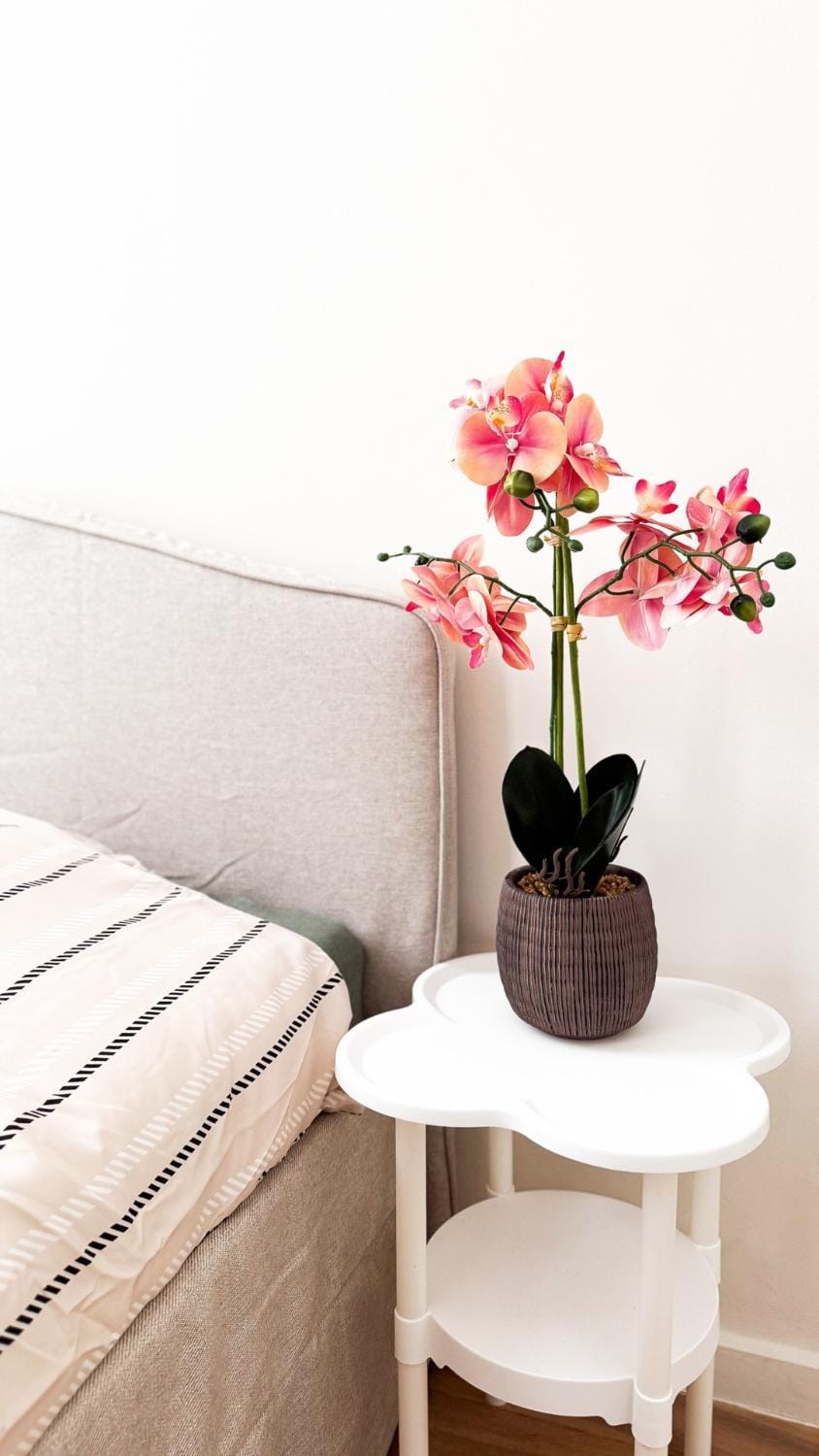 Stylish home on the waterfront near Antwerp 17p House in Antwerp