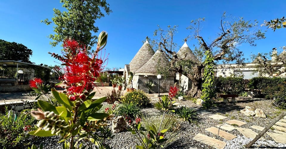 Day, Garden