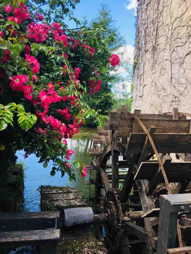 Détente assurée au moulin de papalis House in Nouvelle-Aquitaine