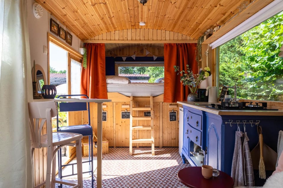 Property building, Kitchen or kitchenette, Dining area