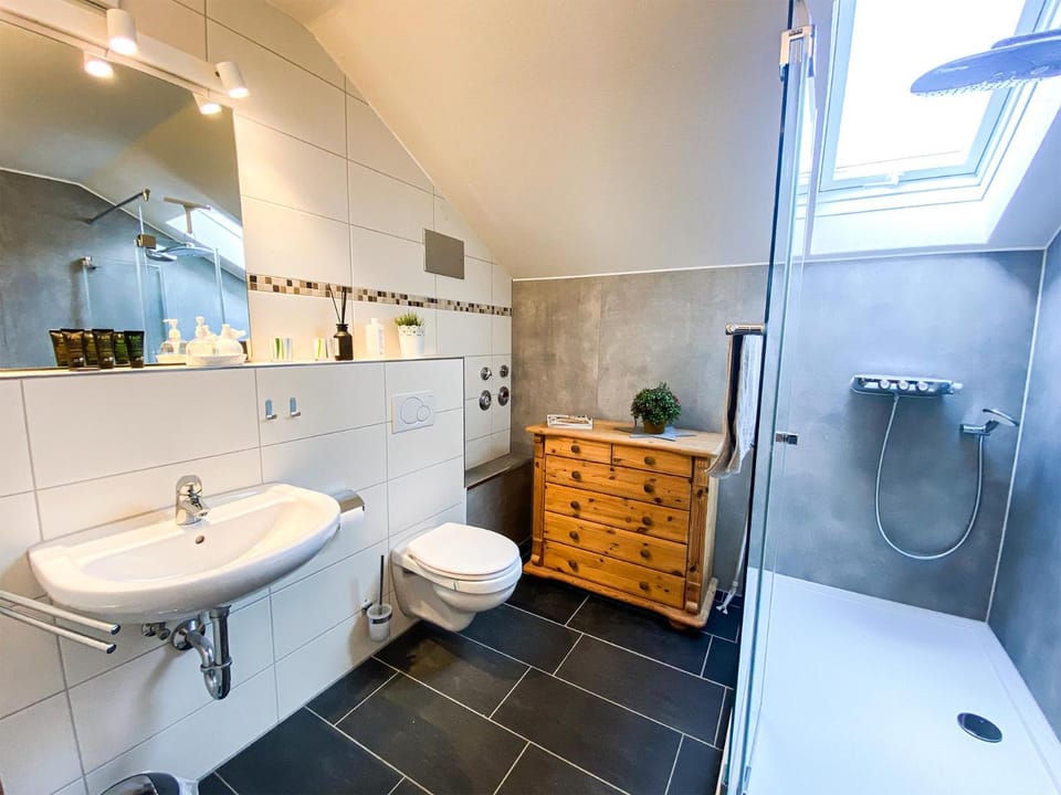 Shower, Toilet, Bathroom, towels