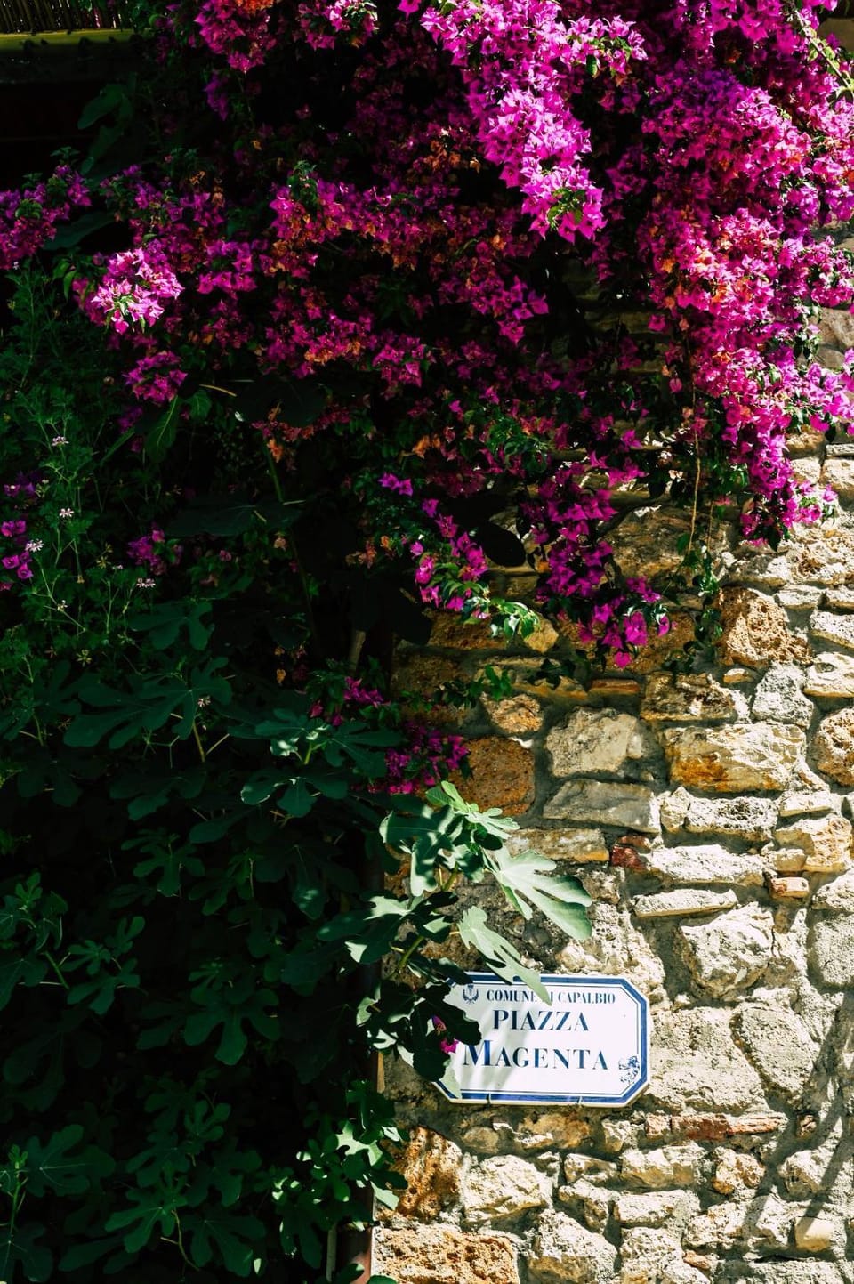 La Magentina Apartment in Tuscany