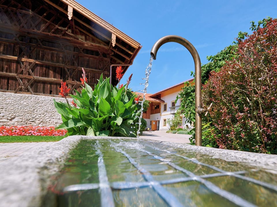 Moierhof Apartment in Salzburgerland