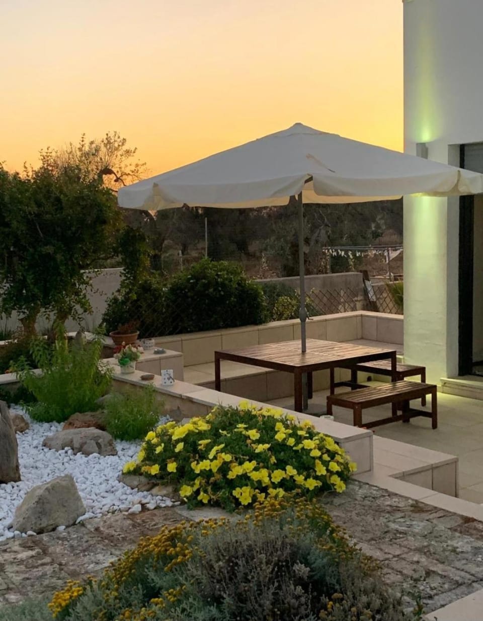 Garden view