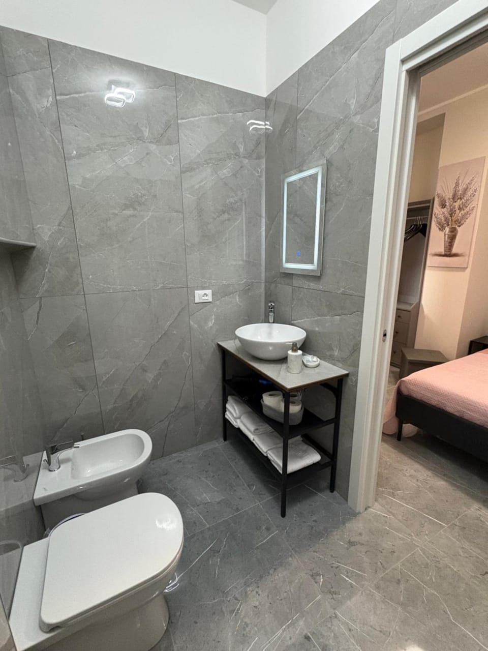 Shower, Toilet, bidet, towels