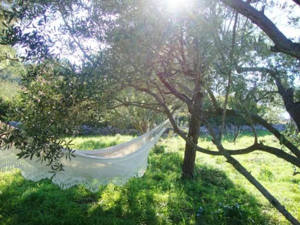 Vinik Island House in Murter