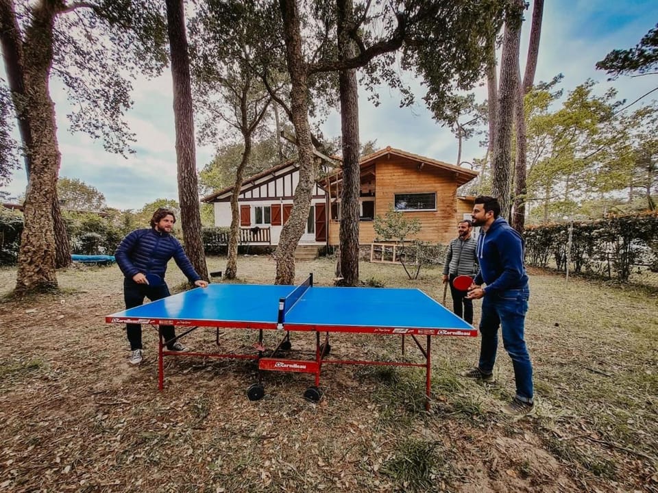 Table tennis, Table tennis