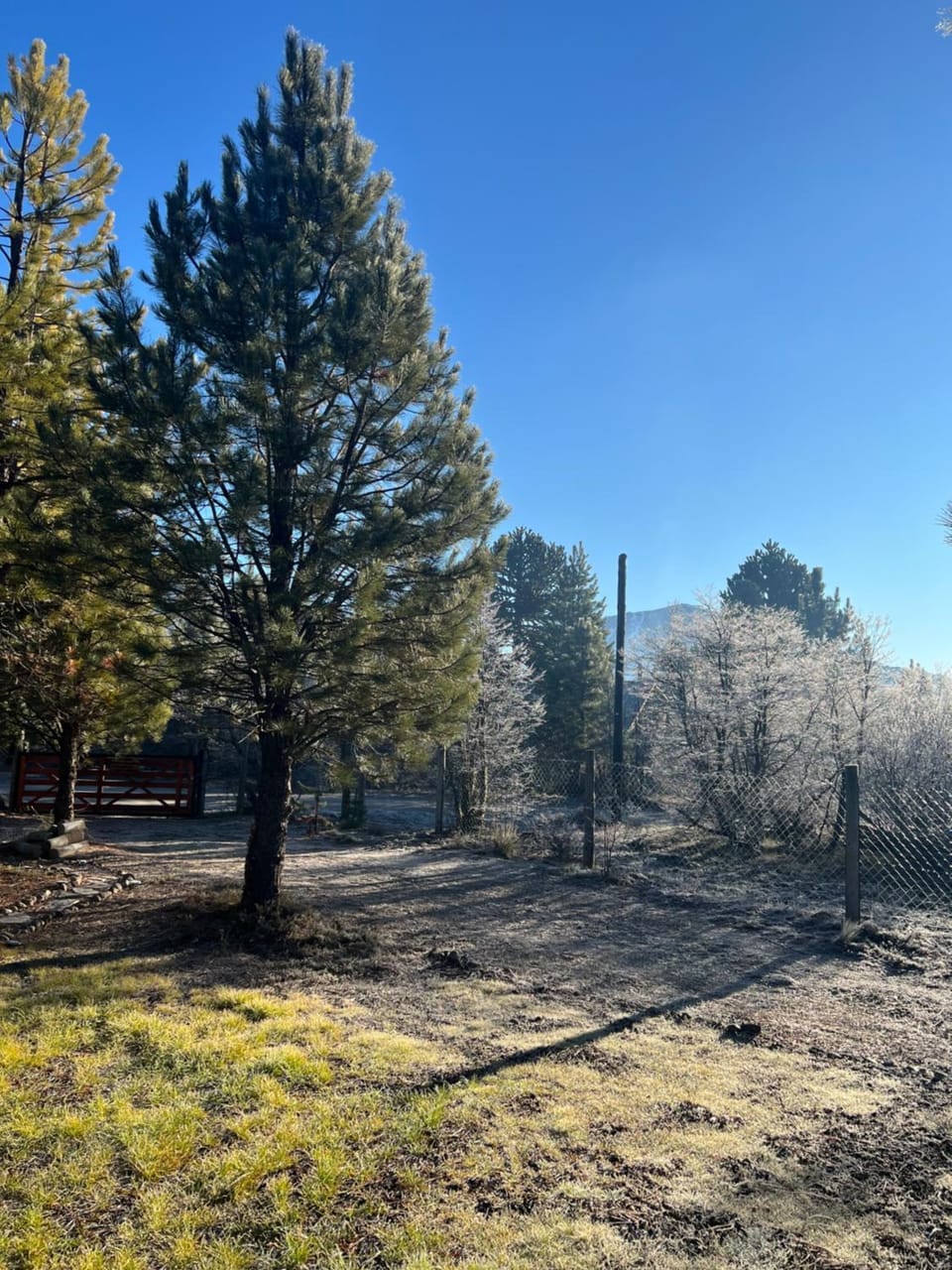 Cabaña Chalet in Araucania, Chile