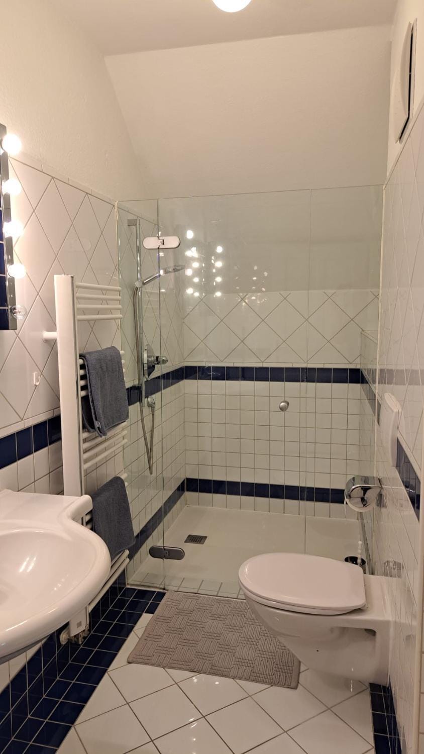 Spitzbart Apartment in Upper Austria