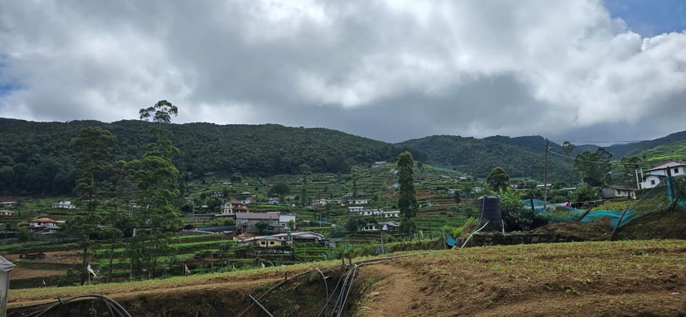 ThisTest Bed and Breakfast in Central Province