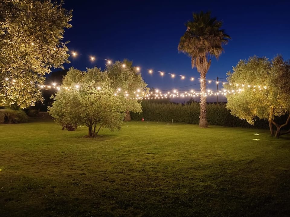 Spring, Night, Natural landscape, Garden, Garden view