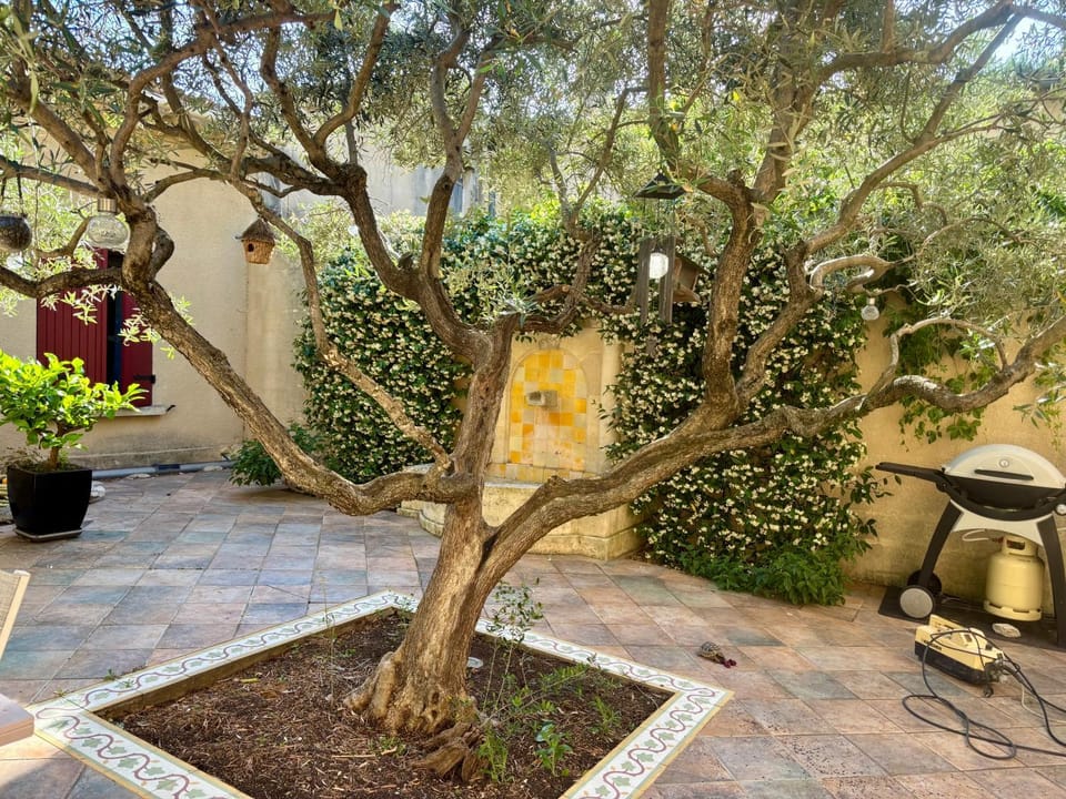 Le patio Provençal-Maison avec cour privée House in Nimes