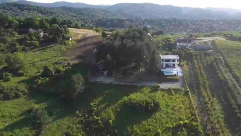 Cheerful 3 bedroom villa with pool in nature Villa in Novi Sad