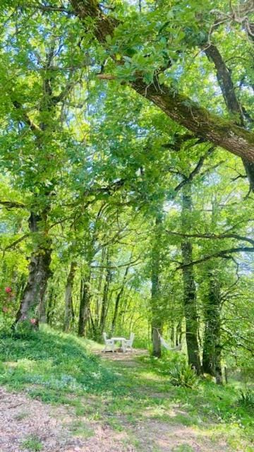La Bastide de Marie & Pascal Bed and Breakfast in Occitanie
