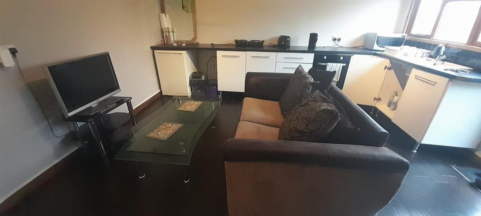 TV and multimedia, Kitchen or kitchenette, Living room, Photo of the whole room, Seating area