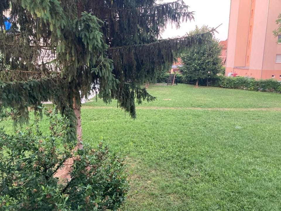 Garden view