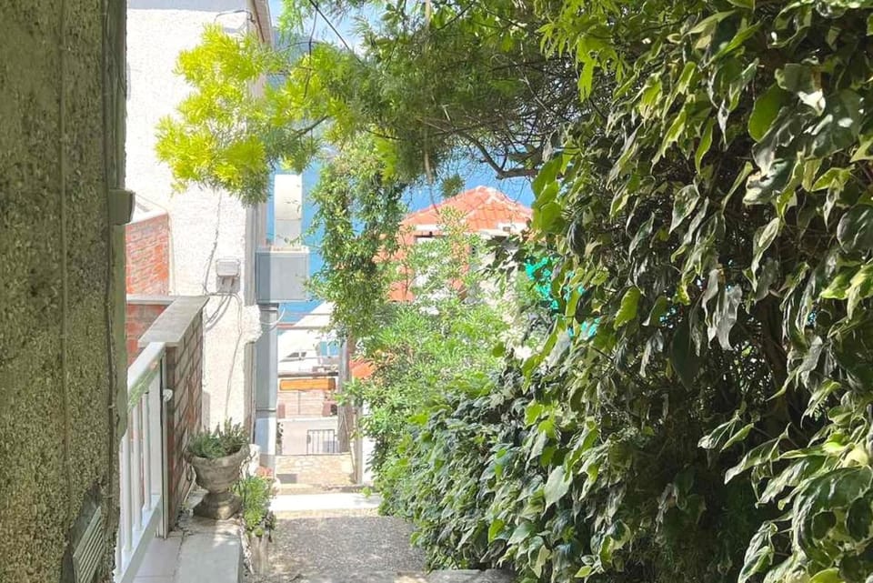 Neighbourhood, Garden, Street view
