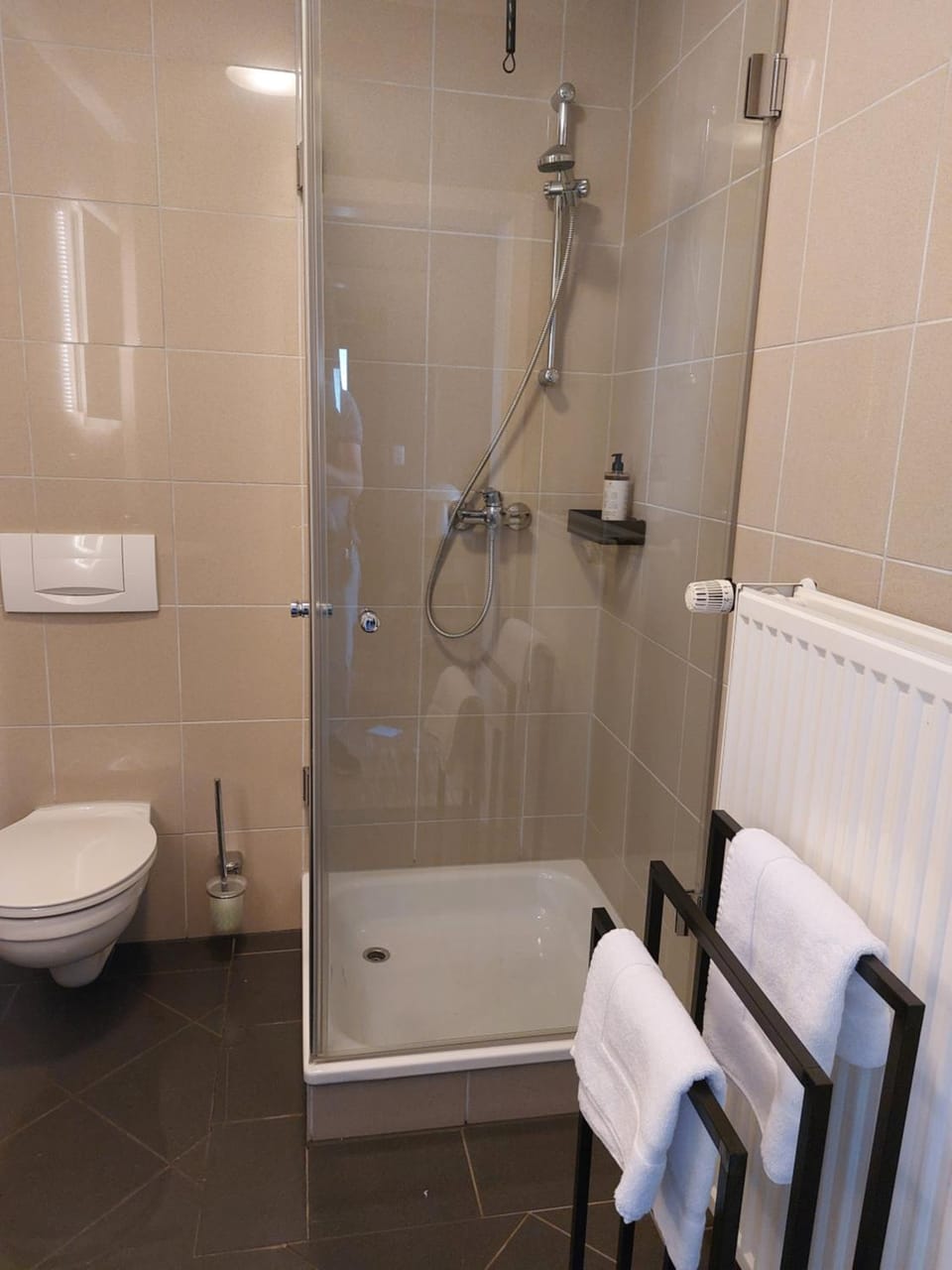Shower, Toilet, Bathroom, towels