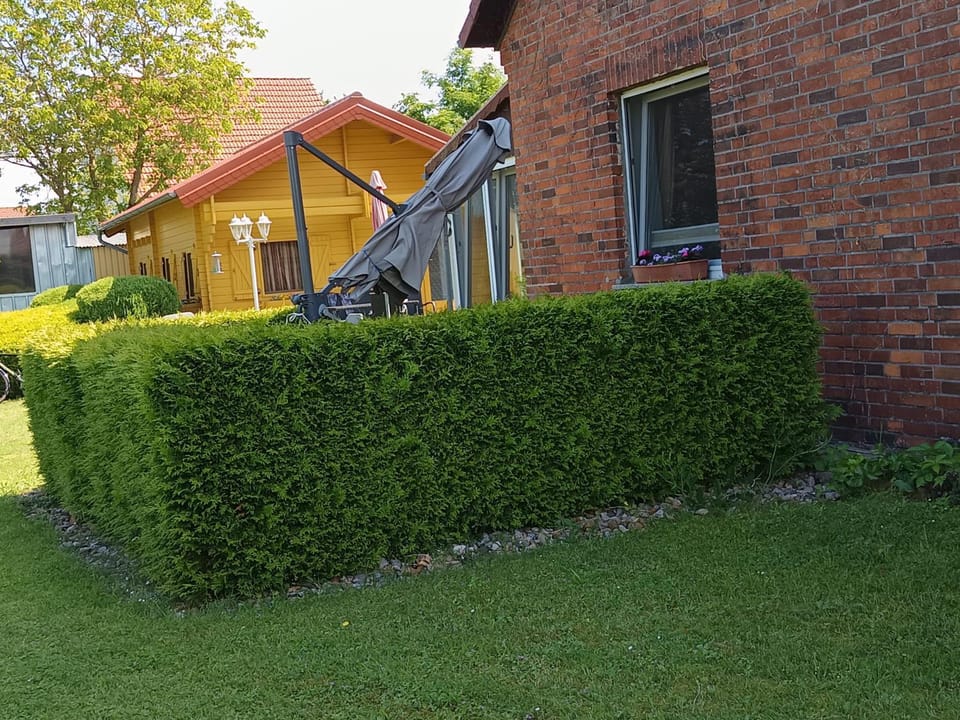 Property building, Day, Garden, Balcony/Terrace, Garden view