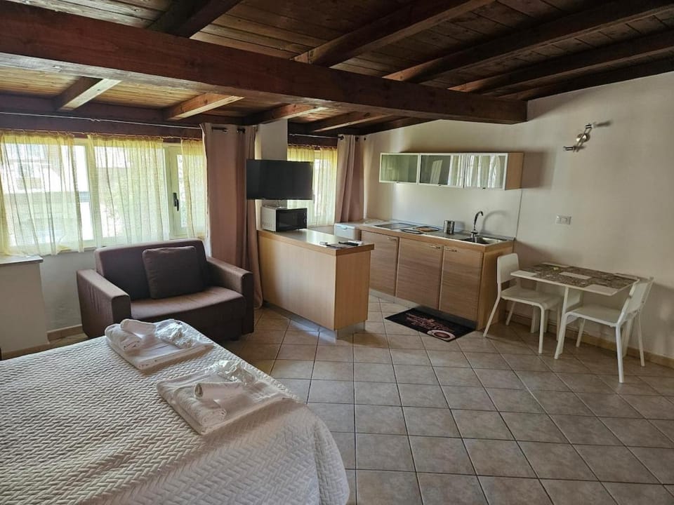 Bed, TV and multimedia, Kitchen or kitchenette, oven, pet friendly