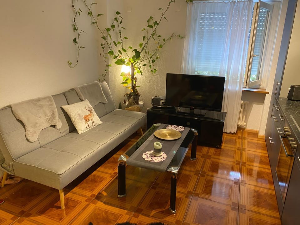 Apartment Apartment in Basel
