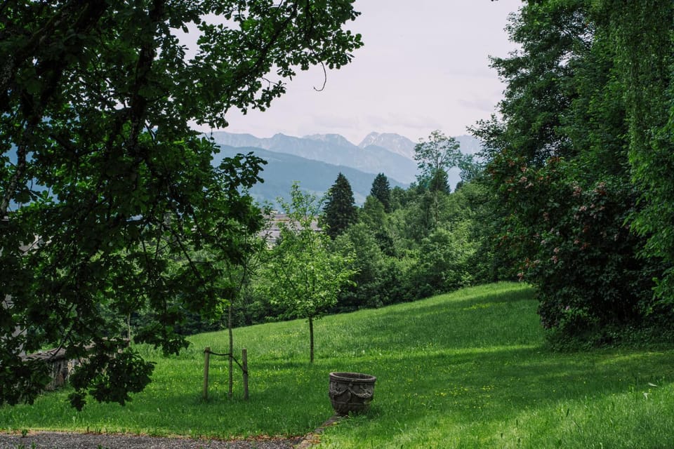 Mountain view