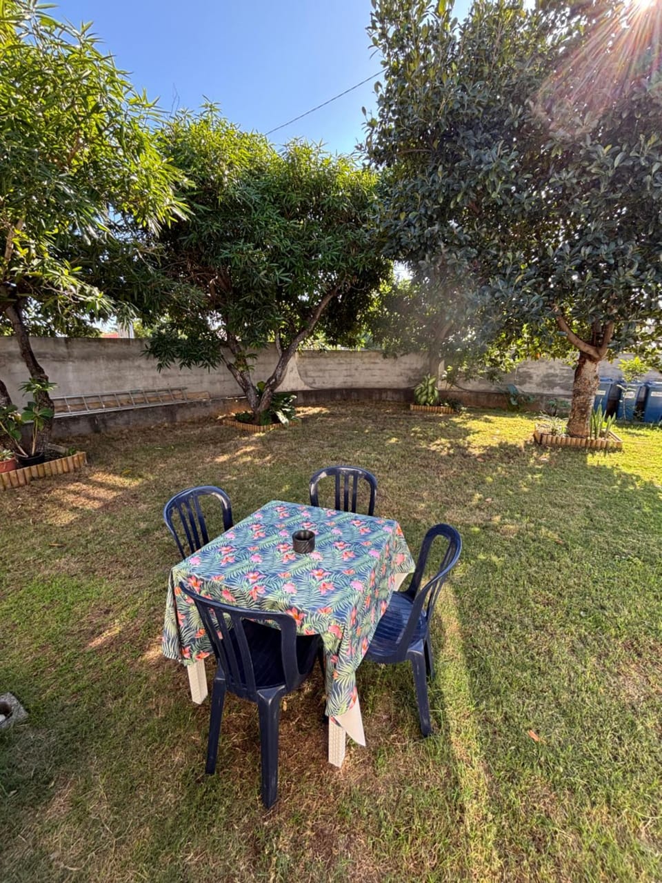 Garden, Garden, Garden view, Garden view