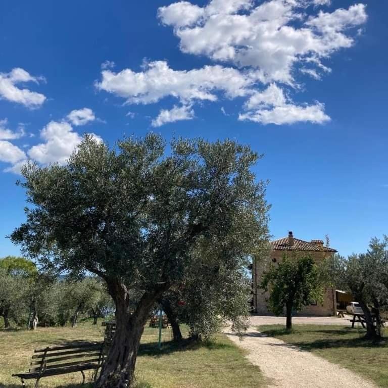 Day, Natural landscape