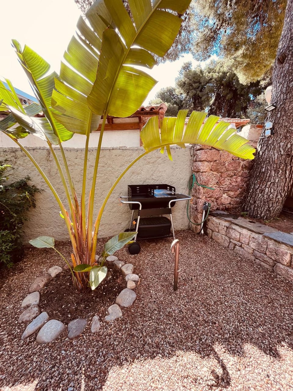 BBQ facilities, Garden