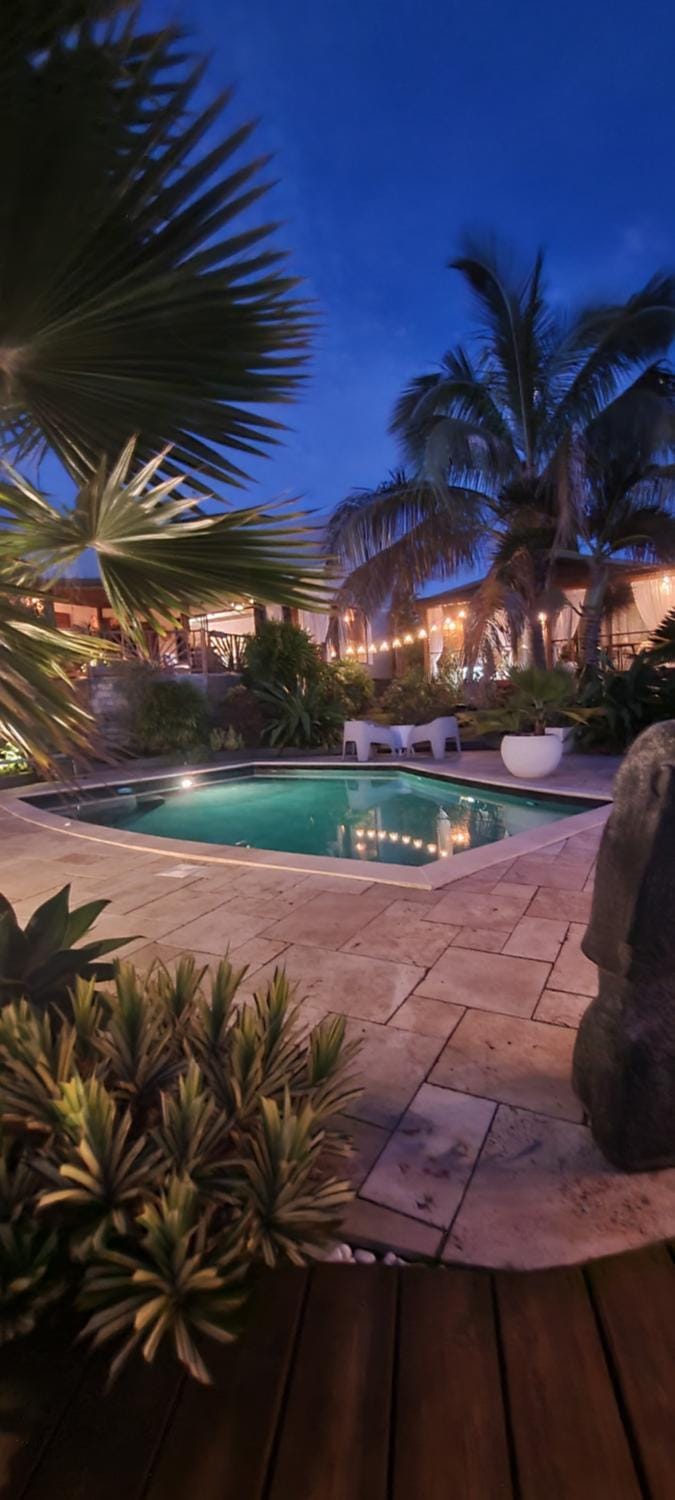 Night, Garden, Garden view, Pool view, Swimming pool