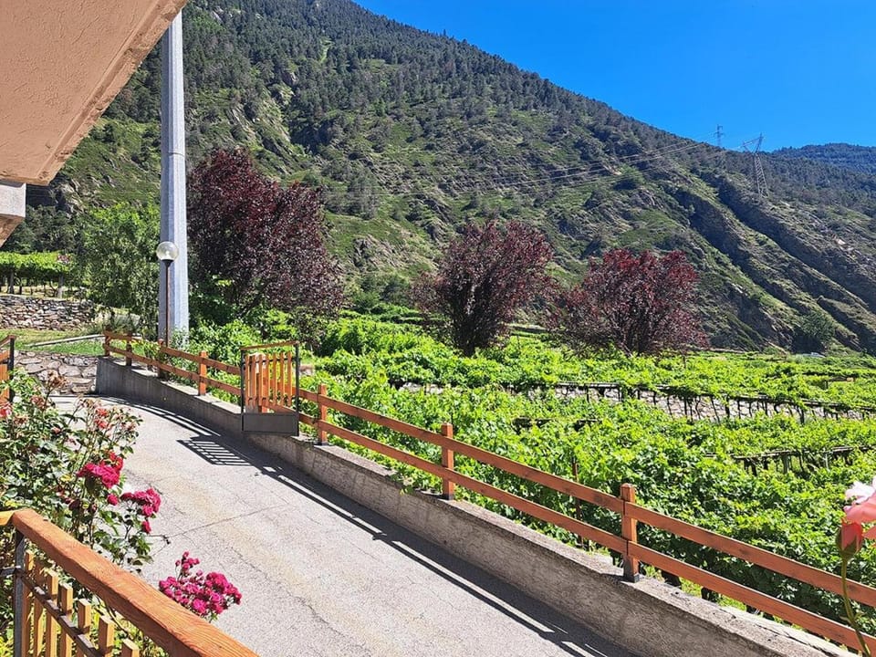 Una vetrina su Morgex Apartment in Aosta Valley, Italy