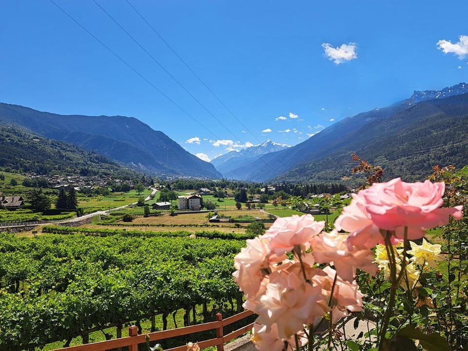 Una vetrina su Morgex Apartment in Aosta Valley, Italy