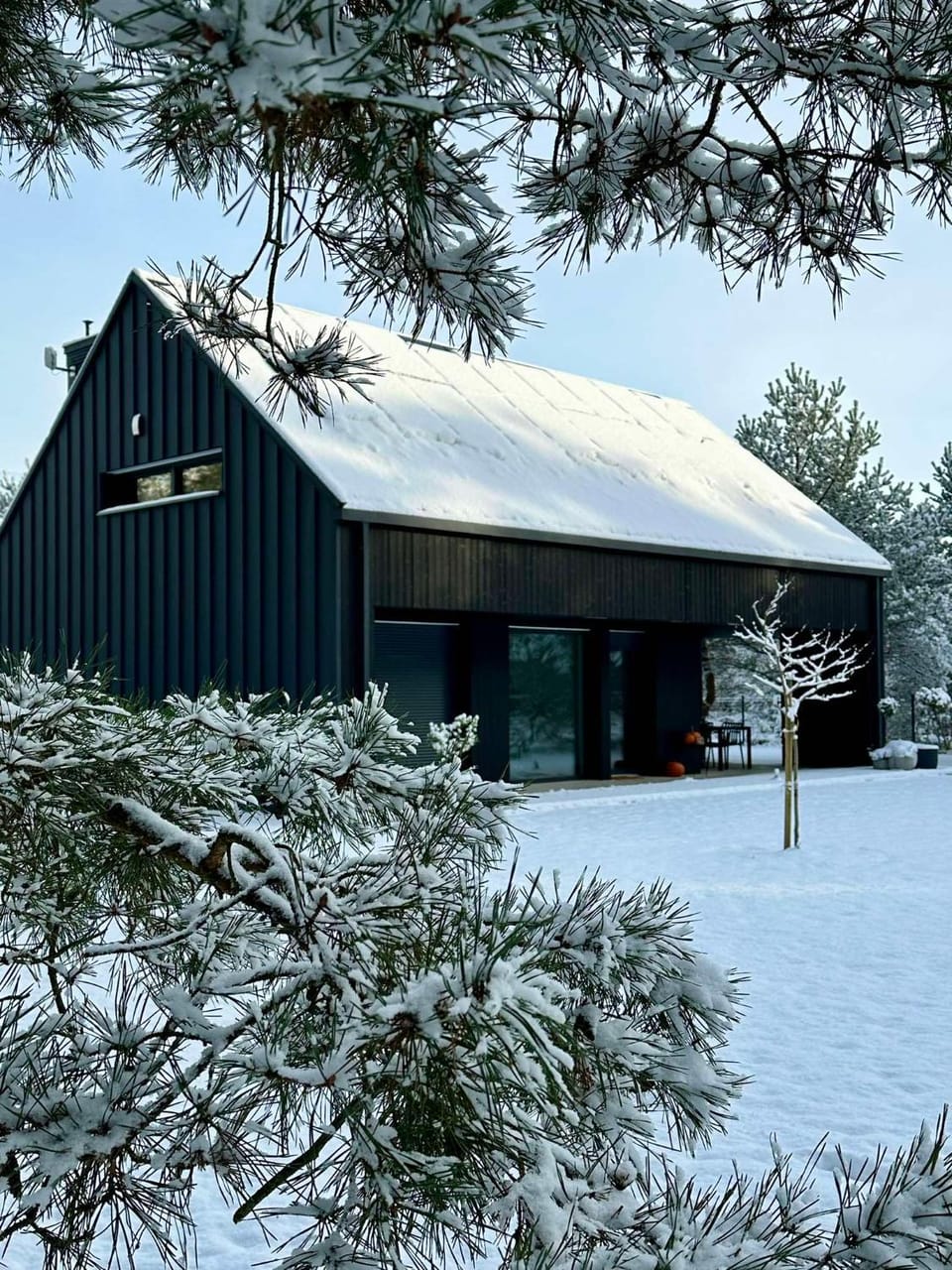 Winter