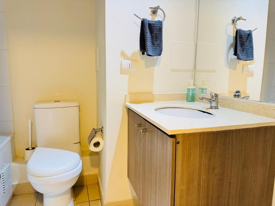 Conectividad & Comodidad Apartment in Santiago