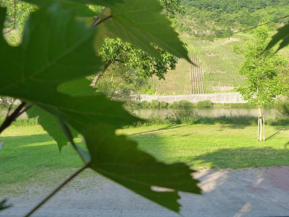 River view