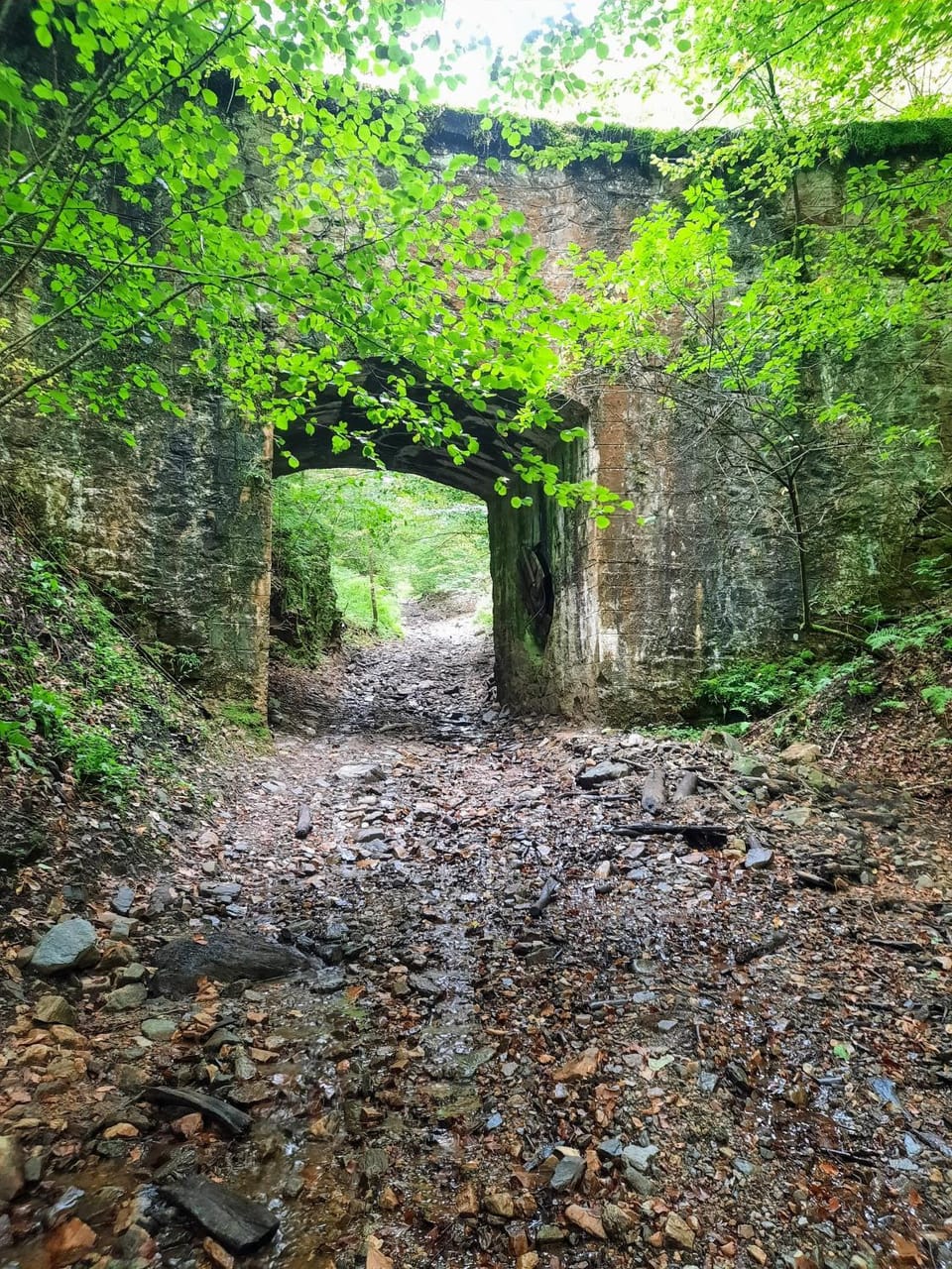 Natural landscape