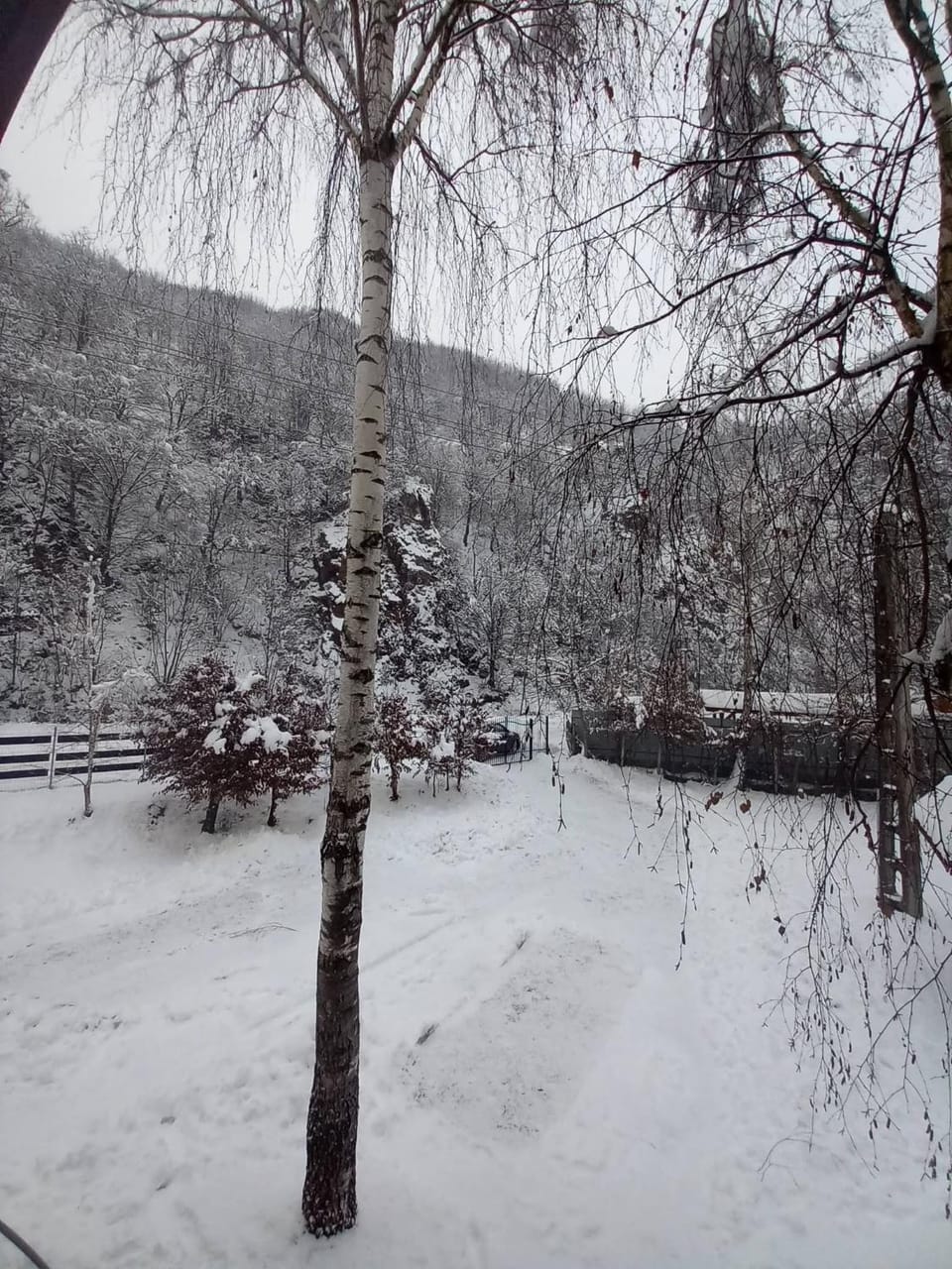 Natural landscape, Winter