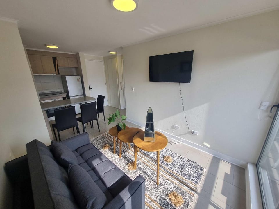 Chic 1BR Oasis in Centro Steps from Metro Apartment in Santiago