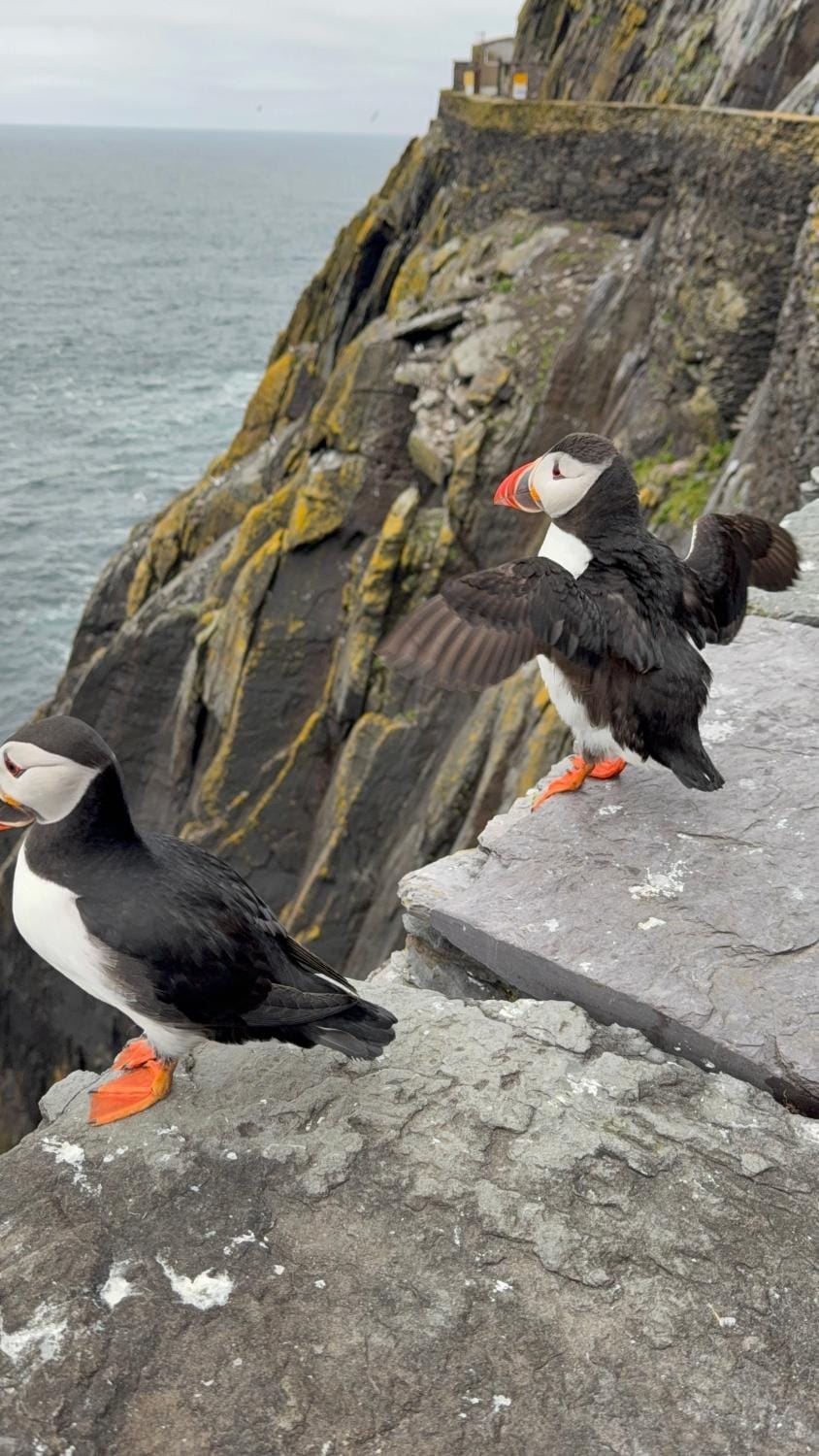 Skellig Apartment Vacation rental in County Kerry