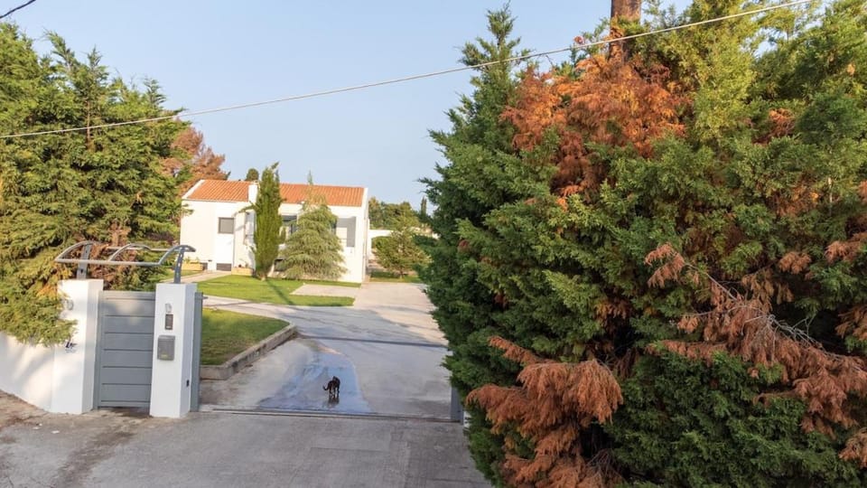 Villa Luce Villa in Kos