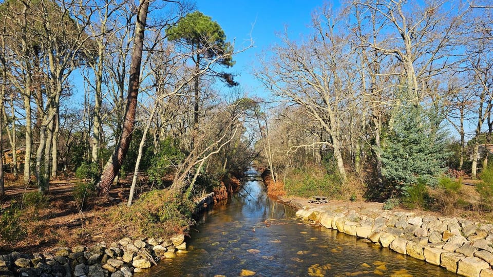 River view
