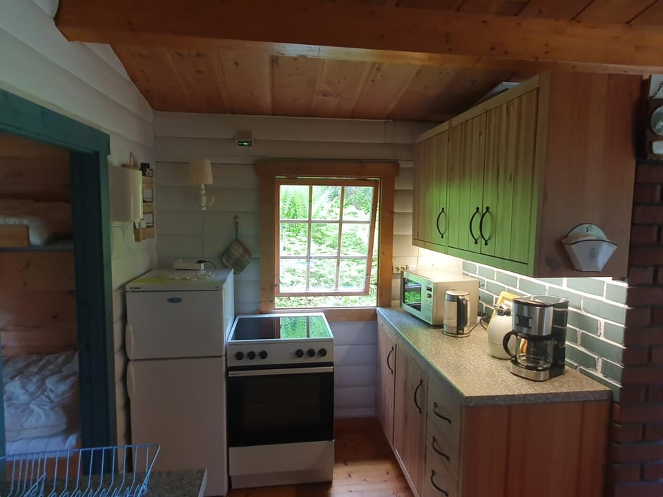 Coffee/tea facilities, Kitchen or kitchenette, pet friendly, stove, toaster