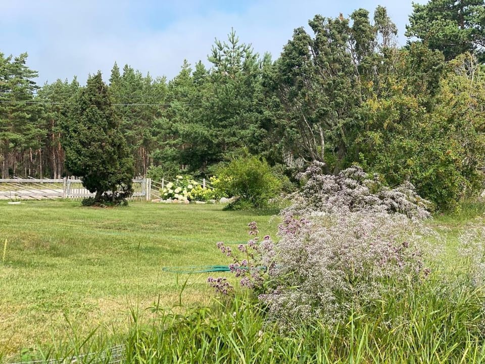 Natural landscape, Garden, Garden view