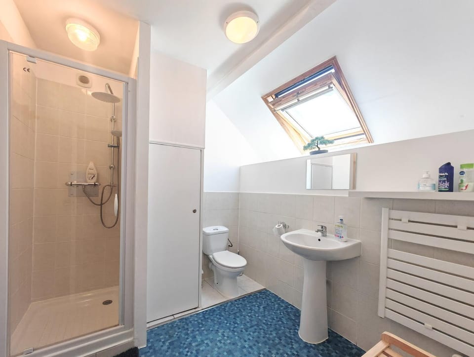Shower, Toilet, hair dryier
