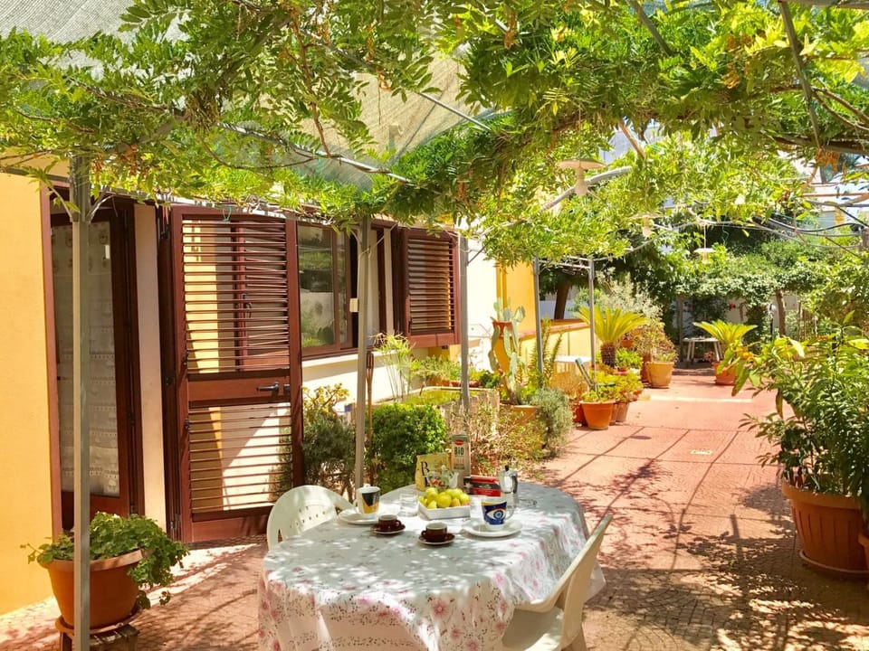 Property building, Patio, Garden
