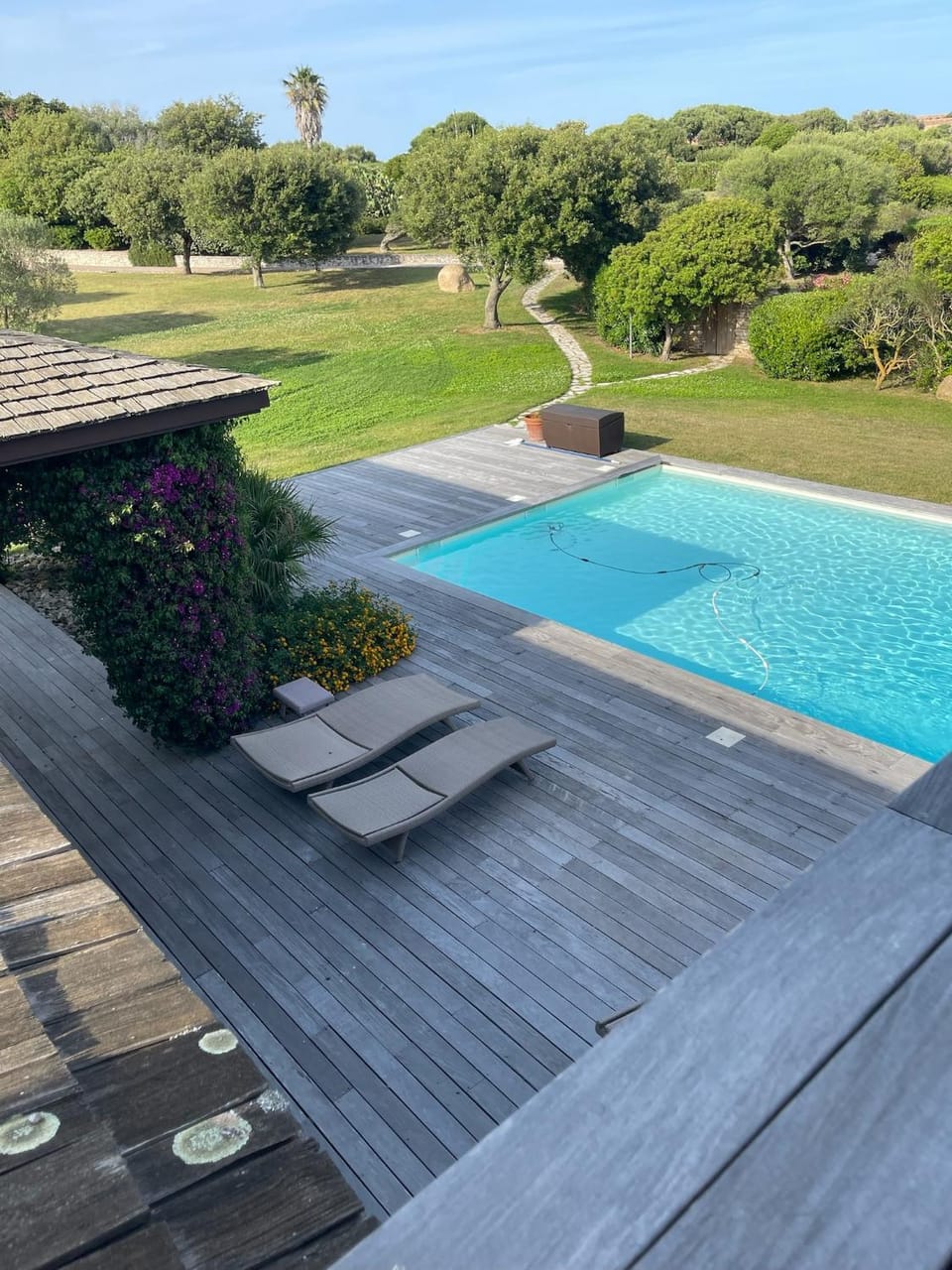 Garden, Garden view, Pool view, Swimming pool