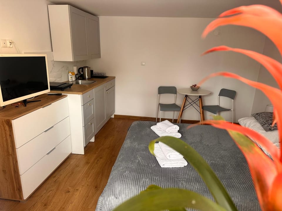 Anemos Bed and Breakfast in Leba
