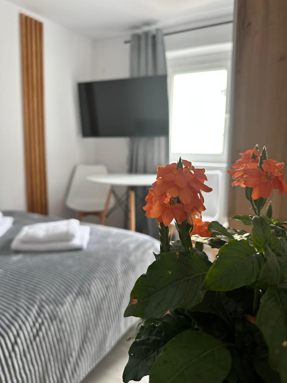 Anemos Bed and Breakfast in Leba