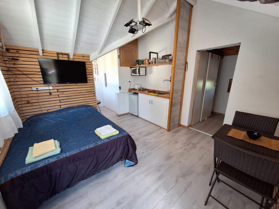 Bed, Kitchen or kitchenette, Photo of the whole room