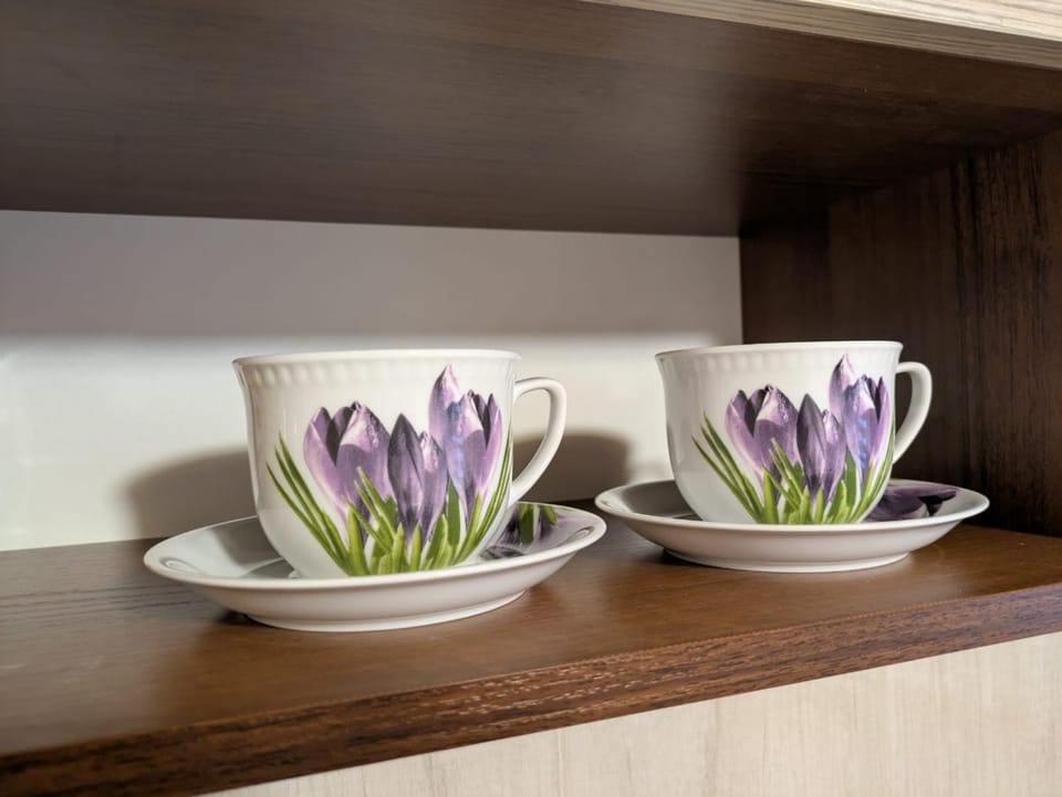 U Wiktora Apartment in Poland